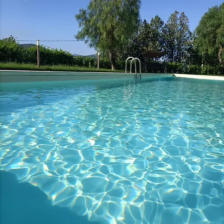 Jungano Relax